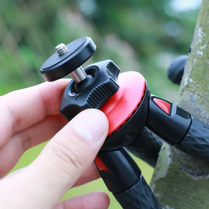 HTB1oXALdzihSKJjy0Flq6ydEXXaz