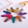Plumes de faisan en perles 2-4 pouces 5-10CM, Plumes de poulet naturelles, masque de bricolage, décoration de réception de mariage, accessoires bijoux, 50 pièces ► Photo 1/6