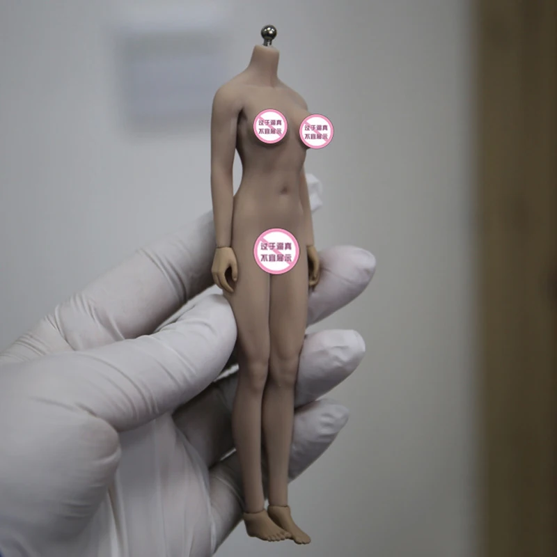 16,3 см TBLeague PH2019 TM01A/02A 1/12th мужской загара кожи бесшовные мышц тела Мини Рисунок с головой полный набор куклы игрушка для удовольствия