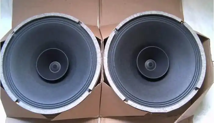 12 inch speaker with amplifier