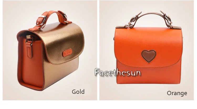 Fuji Polaroid Camera Bag 9