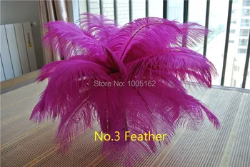 

Wholesale 100pcs 12-14inch(30-35cm) hot pink fuchsia Ostrich Feather plumes Wedding centerpiece party table feather centerpieces