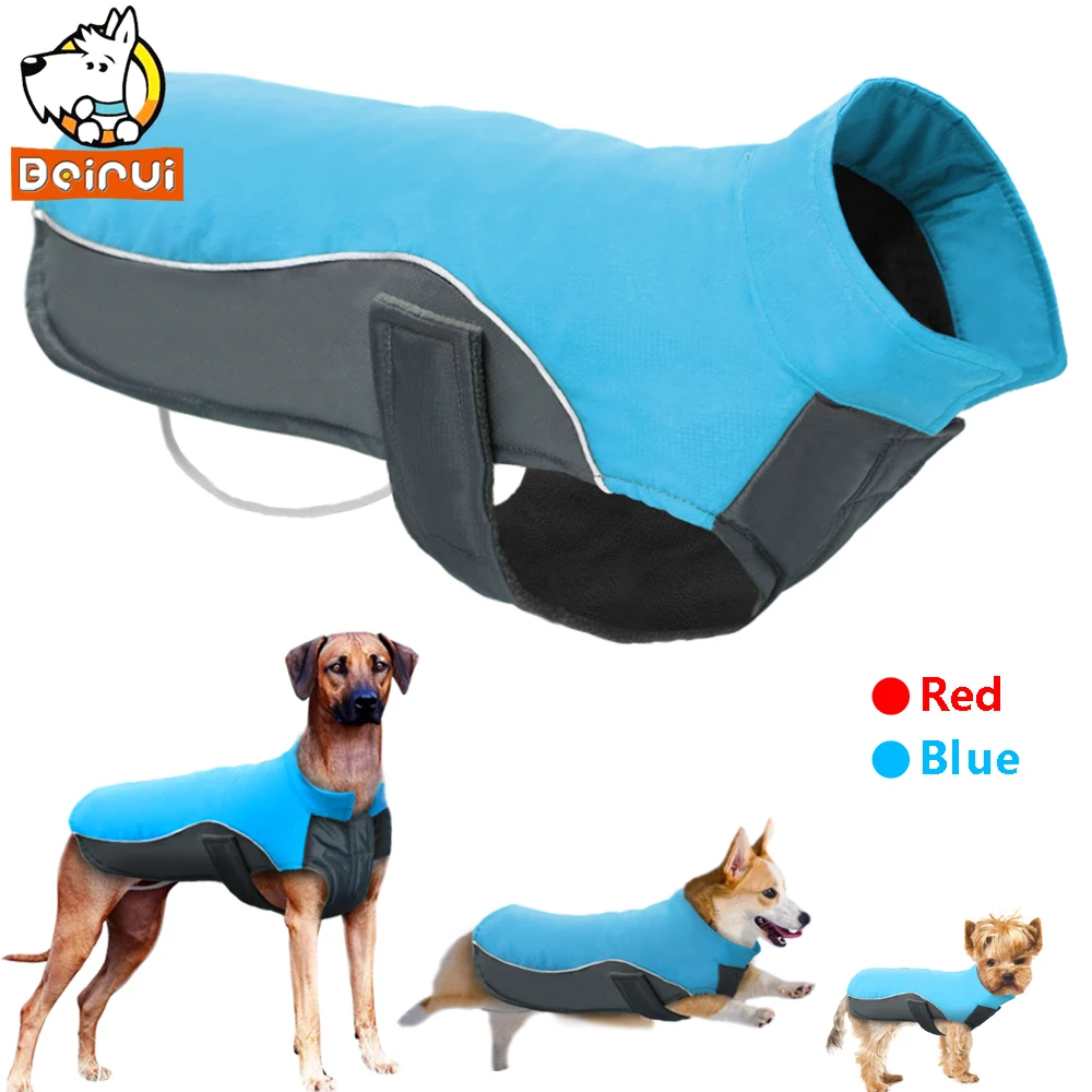 Official Service Dog Jacket Official Service Dog Jacket