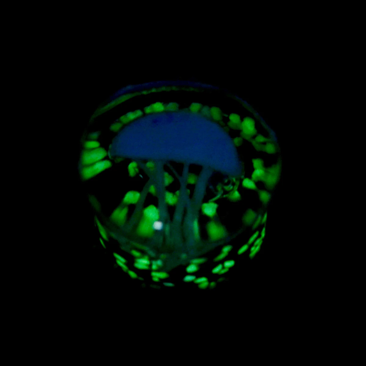 2pcs 8-16mm Green Jellyfish Grass Ear Plug Ocean Double Flared Translucent Bright Ear Gauge Expander Ear Piercing Body Jewelry