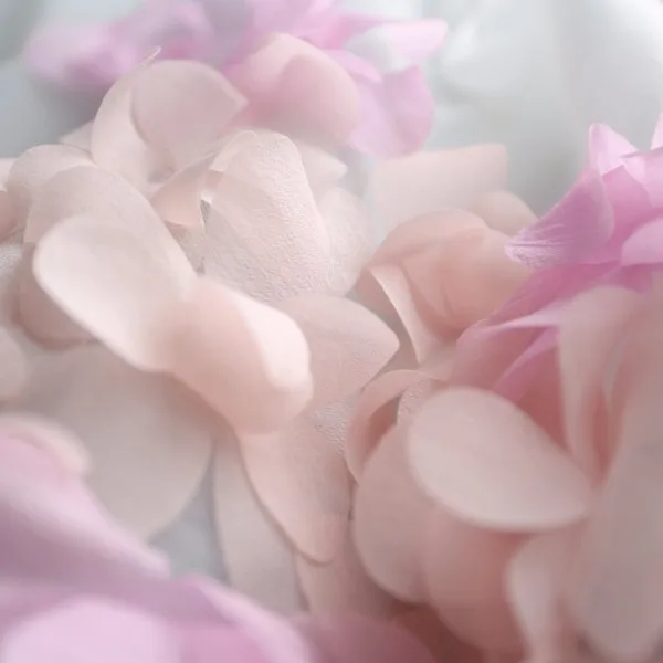 2020 Flowers Prom Dresses Short Front Long Back Evening Gown Gray Organza Fashion Party Formal Gown for Graduation