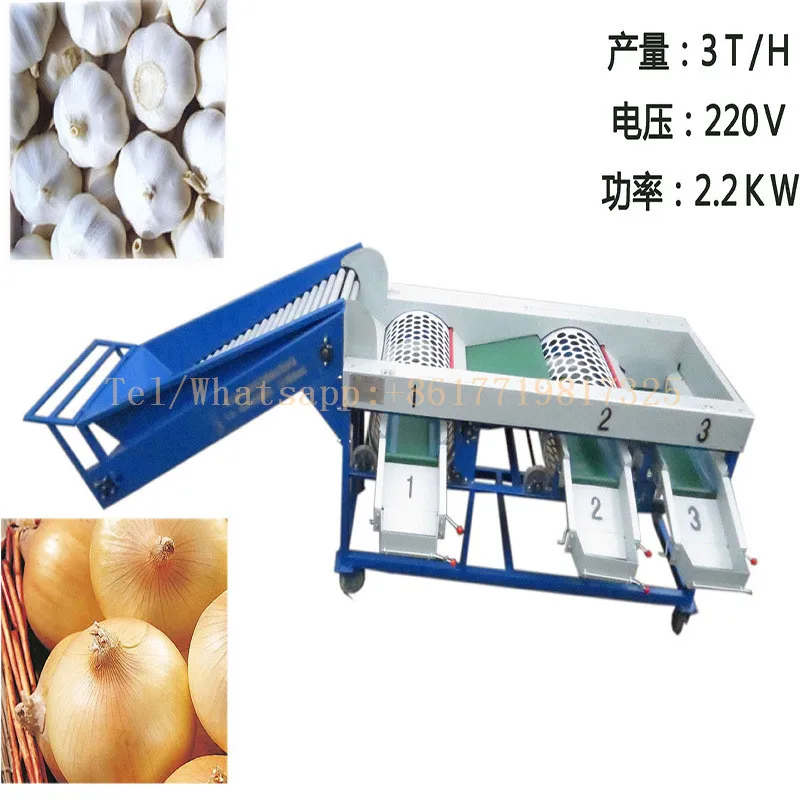 التلقائي الثوم لمبة فرز آلة الثوم البصل الدرجات آلة البصل الثوم لتصنيف آلة Food Processors Aliexpress