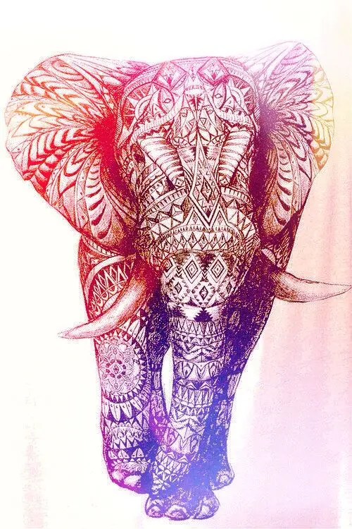 Dilaress Com Online Shopping Nueva Pintura India Elefante Mandala