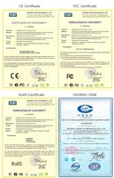 Optoelectronic Displays