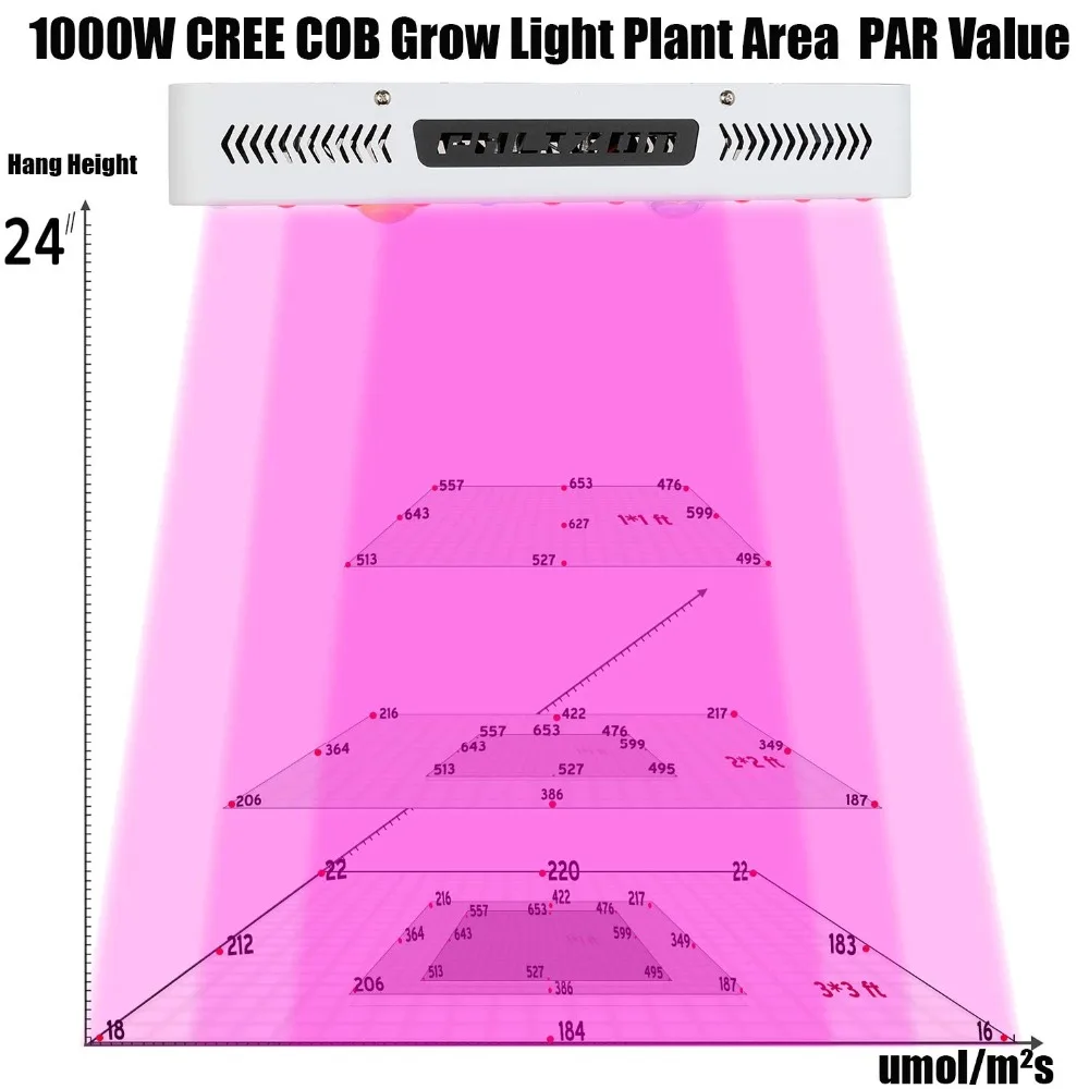 Cob Price Chart