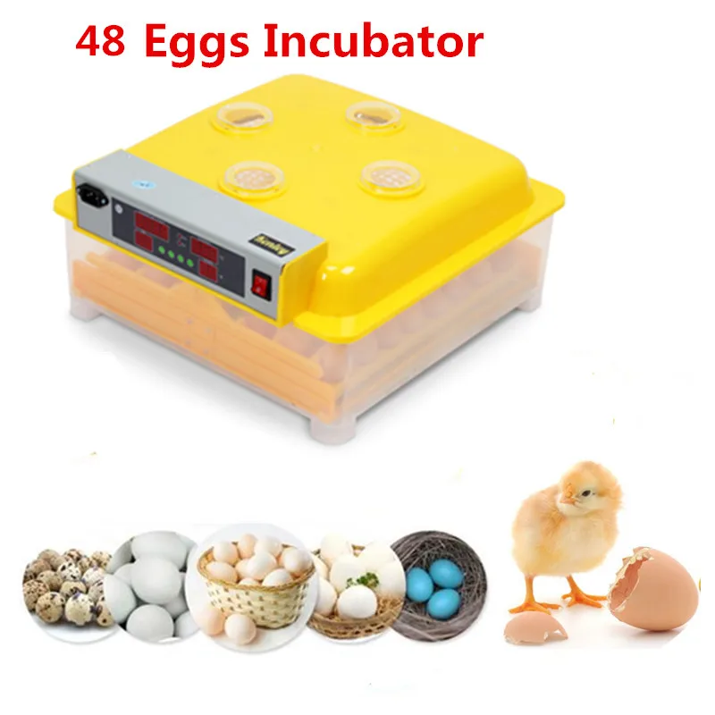 

48 eggs electronic display thermostat automatic multifunctional chicken hatcher Incubator Brooder