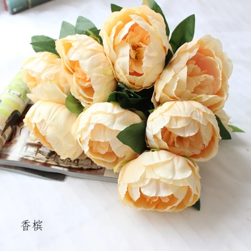 IMG_3970_conew1