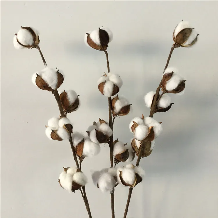 Flone Dried Flower Cotton Branch 6 Head Cotton Long Branch Simulation Cotton Tree Branch Home Wedding Decor Artificial Flowers (4)