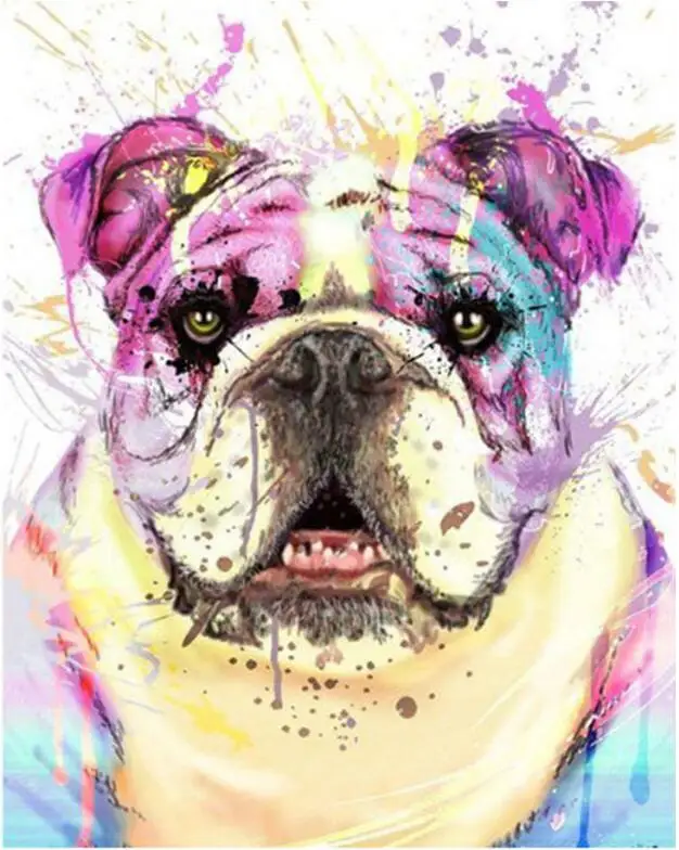 bulldog