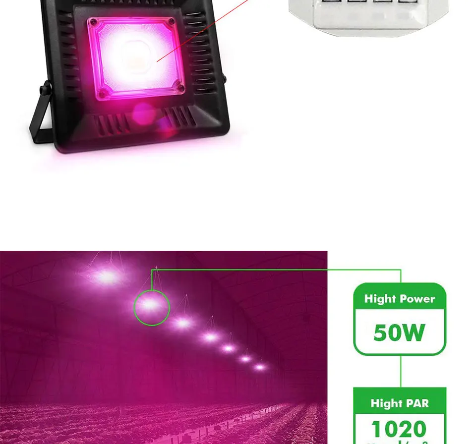AC 110V 220V LED COB Lamp Chip 20W 30W 50W 100W 150W Full Spectrum LED Plant Grow Light Driverless Smart IC DIY LED Floodlights (16)