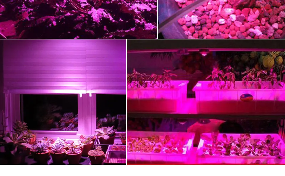 grow led cob chip (15)