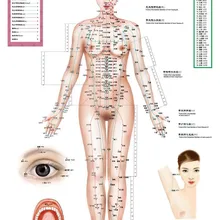 Стандартные пункты меридиана человека настенная диаграмма женский акупунктурный массаж точка карта Флипчарт HD 3 китайский и английский