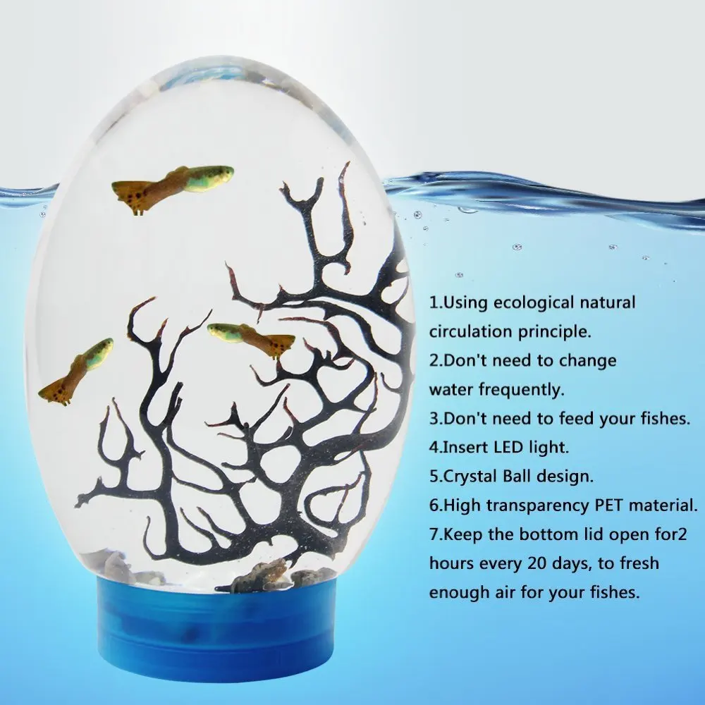 Closed Aquatic Ecosystem Fish Bowl Tank Aquarium, No Need Water Change