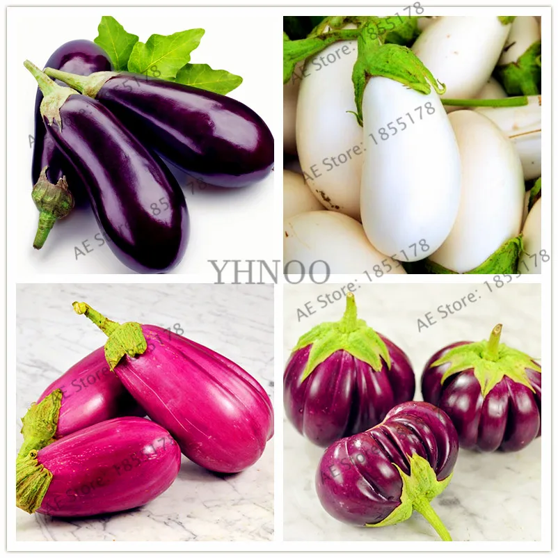 Семена Овощей Без Гмо Купить