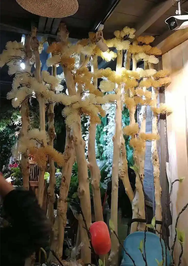 Christmas Tree Toppers (7)