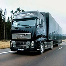 A1