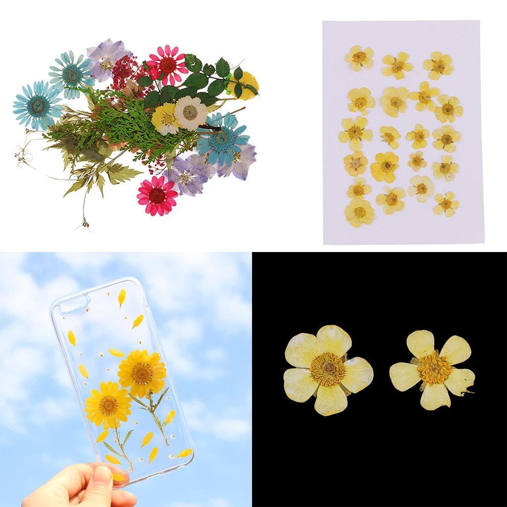 Pack of 50pcs Natural Dried Flower Real Flower Mixed For DIY Resin Ornament Craft Card Making Scrapbooking Embellishments