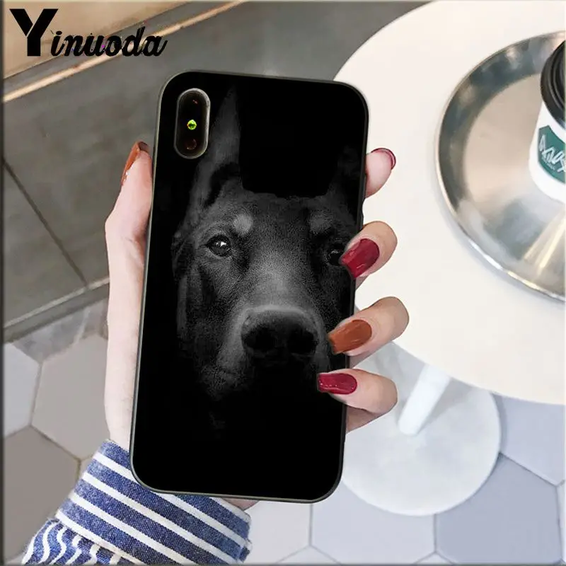 Dachshund Doberman Dog Silhouette