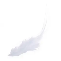 50 St. раскрашенный петух перья для украшения 10-15 см-белый