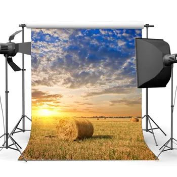 

Photography Backdrop Nature Farmland Straw Hay Bale Wheat Field Blue Sky White Cloud Background