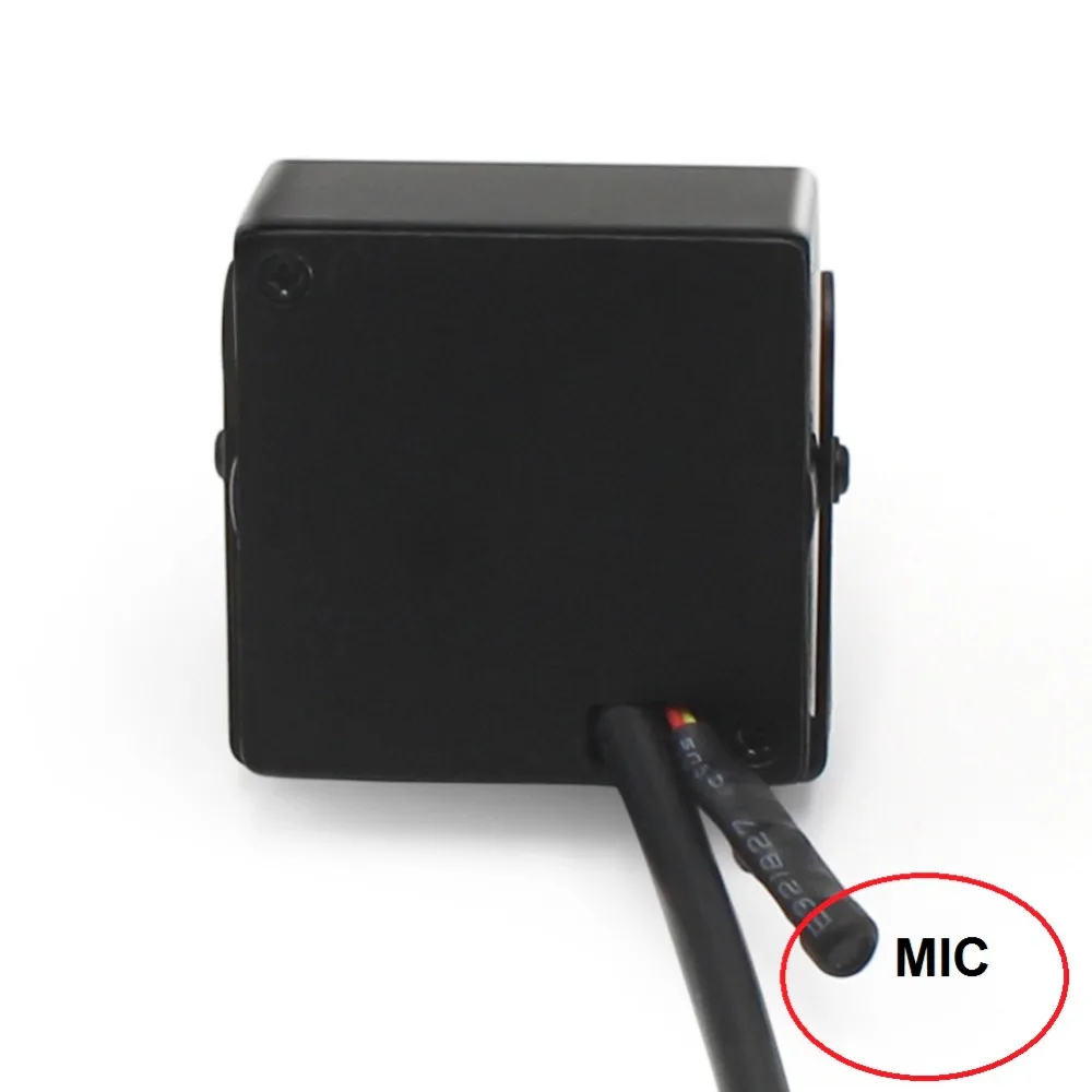 mic