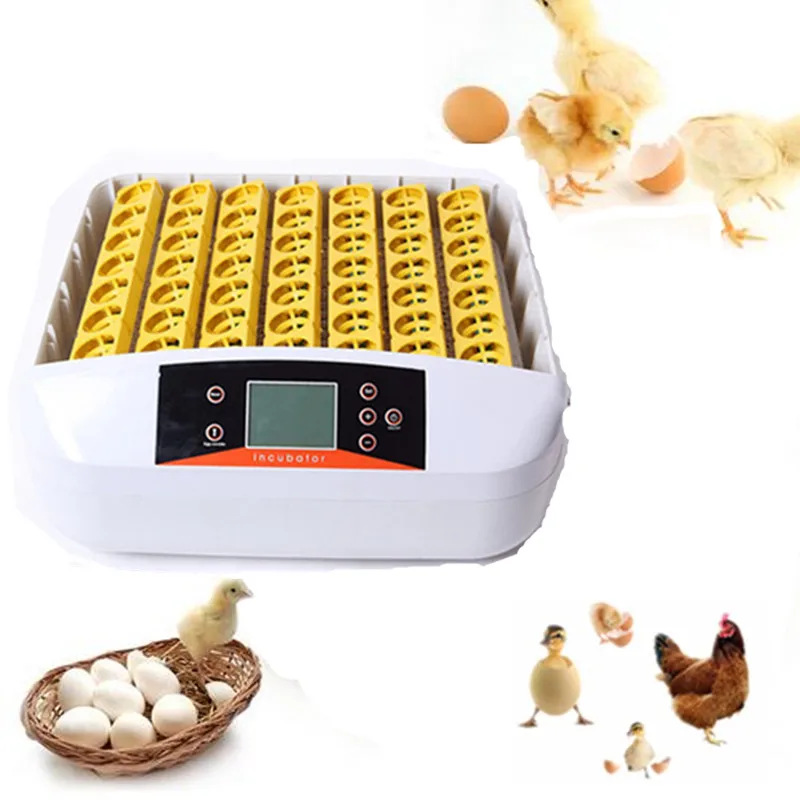 

56 Eggs hatching incubator automatic digital terperature control for chicken duck quail eggs observation poultry incubator