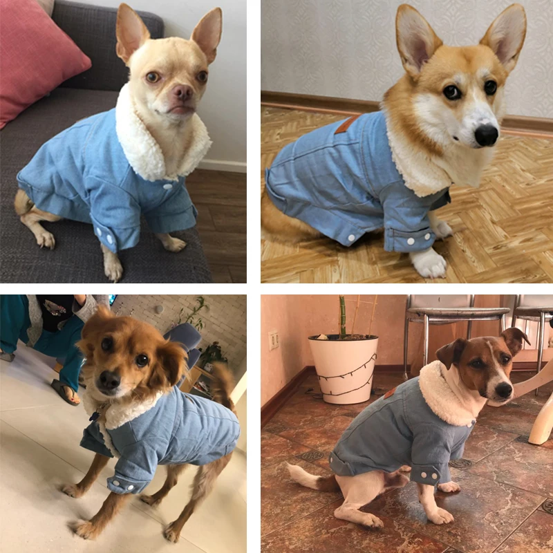 Petshy, куртка для собак, одежда, костюм для животных, Зимний Теплый Щенок, маленький, средний, для собак, джинсовое пальто, джинсовый костюм, чихуахуа, пудель, одежда для домашних животных