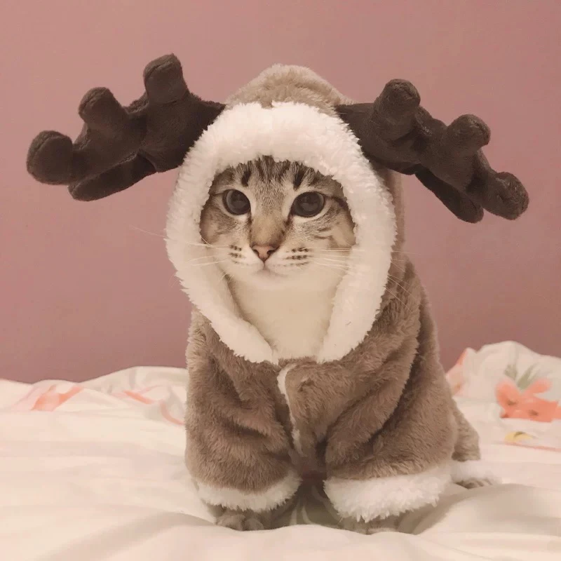 Winter Cat Clothes Warm Fleece Pet Costume For Small Cats Kitten Jumpsuits Clothing Cat Coat Jacket