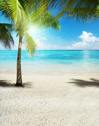 10x10FT Palm Tree Shadow Sand Shore Beach Summer Sea Wave Custom Photo