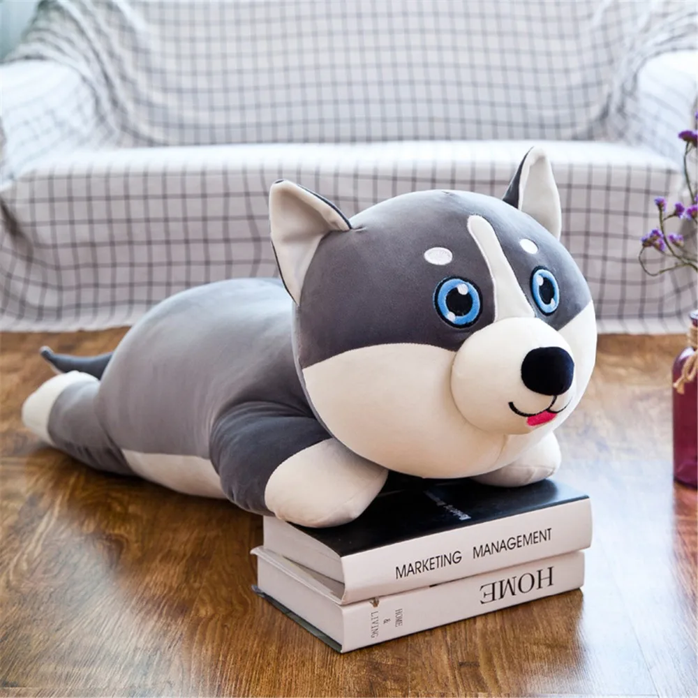 9233897291_1489215966