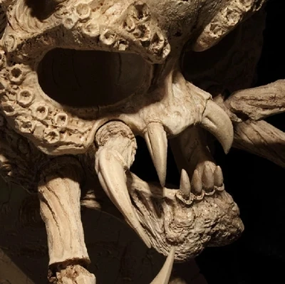 

Jagged Warrior Skull Model 1:1 Alien vs Predator 33*20cm free shipping
