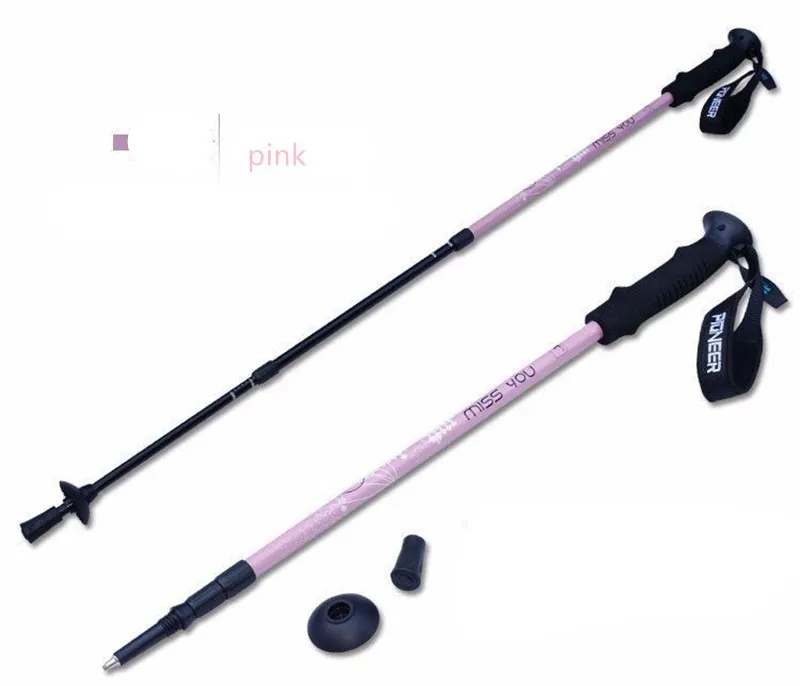 TP1005 04 Nordic Walk Cane