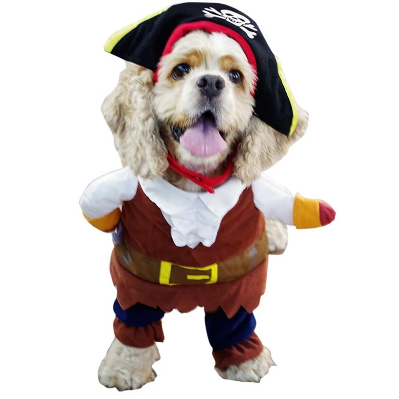 Pattern Cat Pirate Hat Pattern Cat Pirate Hat