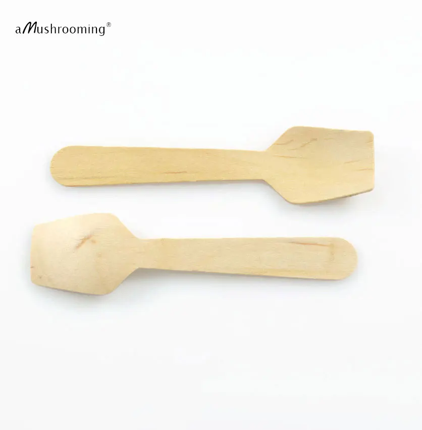 Flat spoon (2)