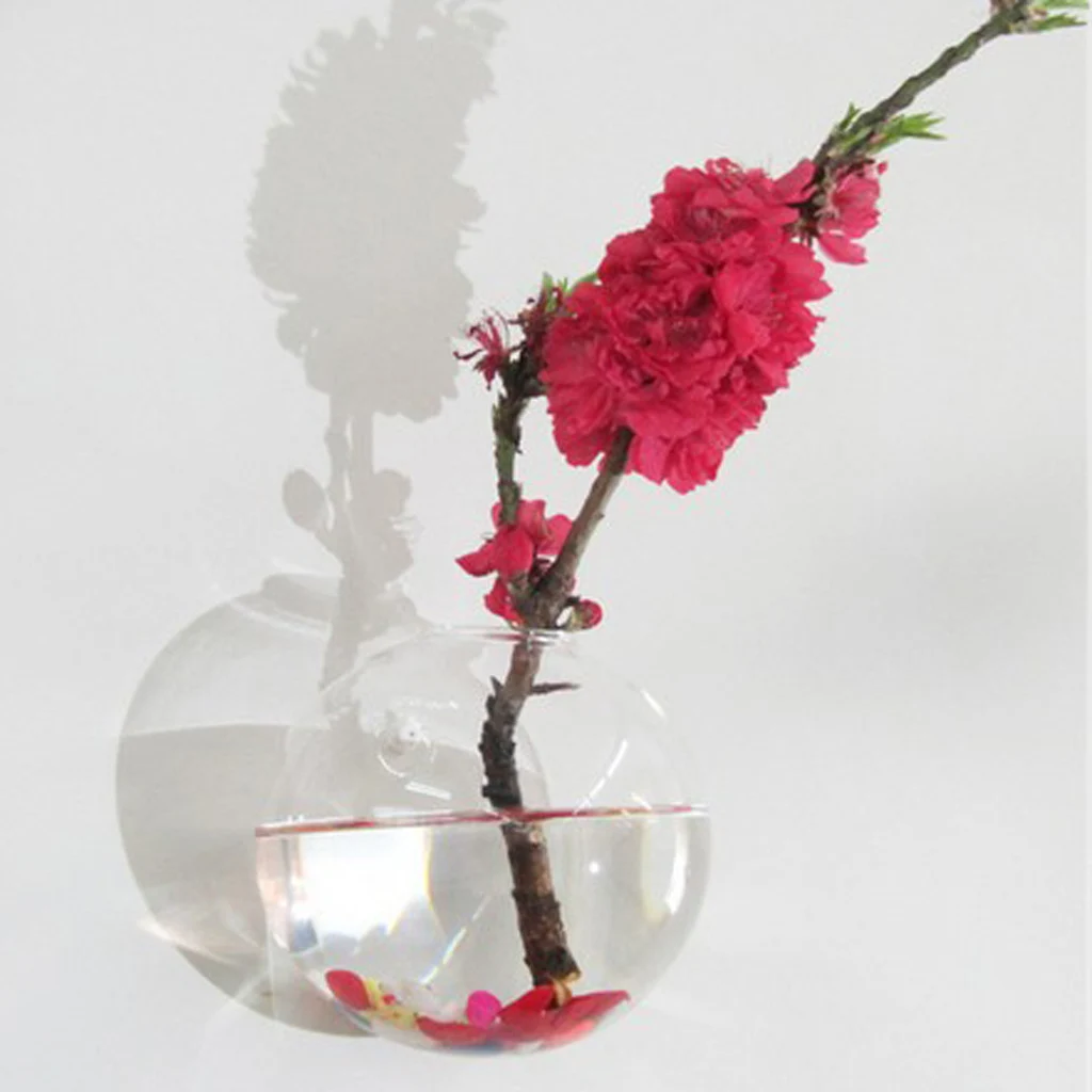 2 x Wall Hanging Planter Glass Plant Pot Air Plant Terrarium Hanging Creative Decor Gifts Garden Supplies