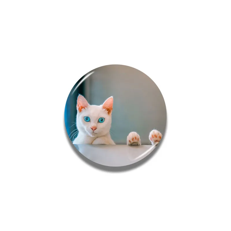 Личи милый кот серии магнит на холодильник круглой формы магниты на холодильник сувениры для путешествий украшения для дома и кухни - Цвет: 6