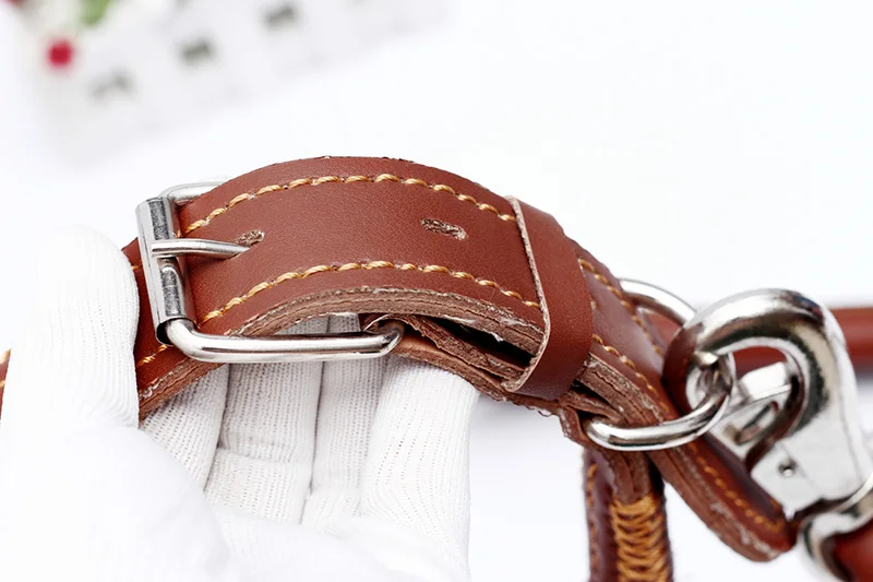 Leather Dog Collars and Leashes (12)