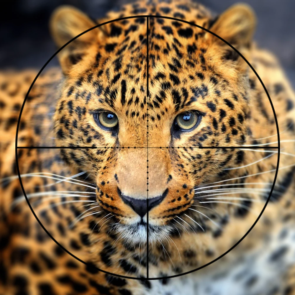 VX-3 4.5-14X40 مللي متر بندقية Riflescope الصيد نطاق التكتيكية البصر الزجاج شبكاني بندقية البصر ل قناص الادسنس بندقية الصيد VX-3 4.5-14X40 مللي متر بندقية Riflescope الصيد نطاق التكتيكية البصر الزجاج شبكاني بندقية البصر ل قناص الادسنس بندقية الصيد