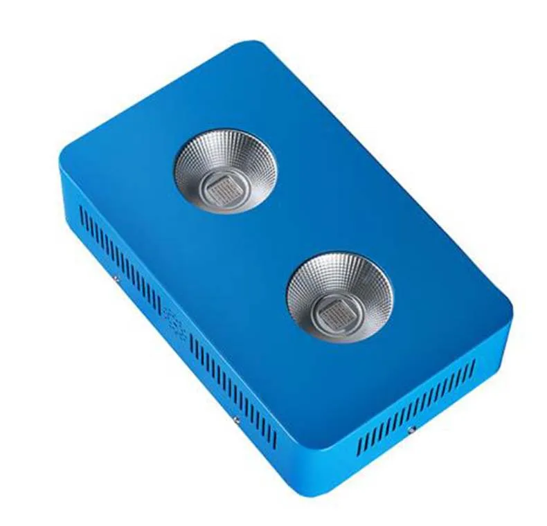 4004