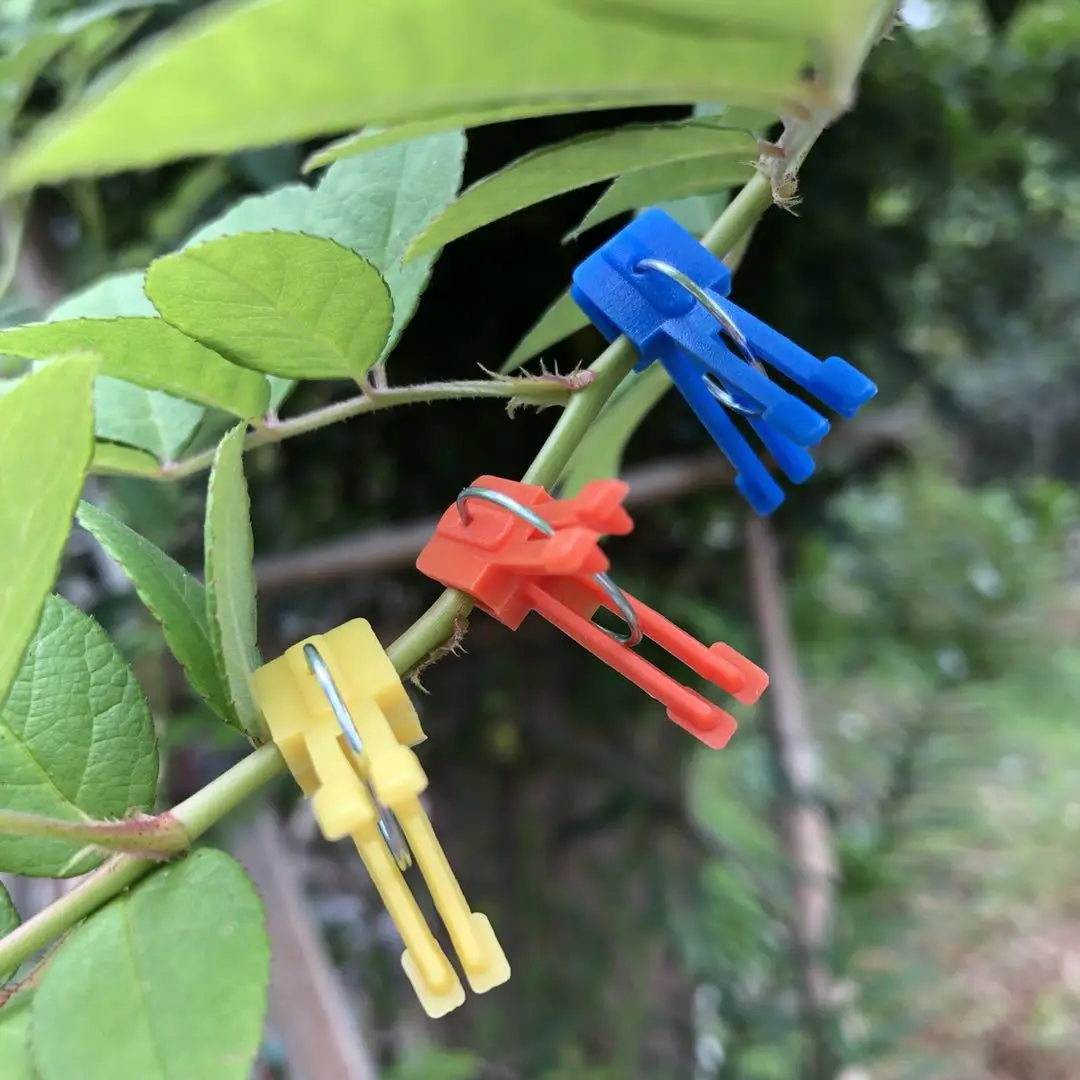 

1000 pcs plants Grafting Clips Gardening Fruit Tomato Plants Vine Plastic Seedling Clamp Tools graden supplies