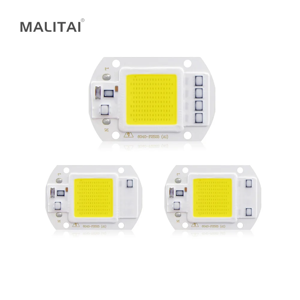 

1Pcs 20W 30W 50W AC 220V Power Supply COB Integrated lamp Chip Smart IC Driver light Source DIY LED Floodlight Spotlight Bulb
