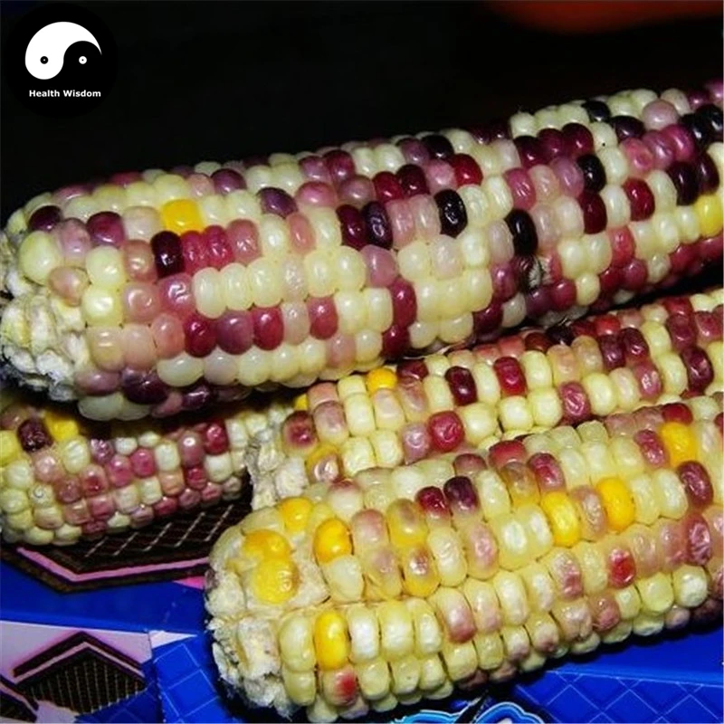 Купить Цвет восковидная Semente 120 шт. завод китайский сладкий Zea Mays для фруктов кукурузы