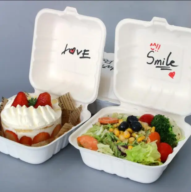 

10PCS Cake disposable pulp cake boxes 10 handy lunch boxes for hamburger salad parties cake boxes