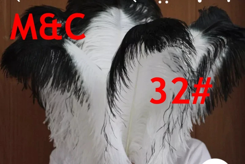 54