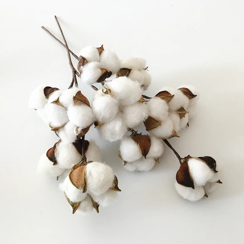 

6Heads Dried Cotton Flower Branch Artificial Plants Flower DIY Home Wedding Decoration Wreath Bunches Natural Material Floral