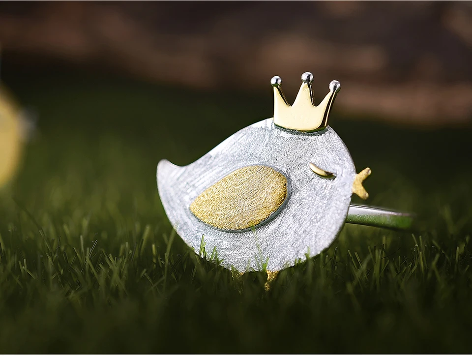 LFJD0085-Lovely-Princess-Bird_07